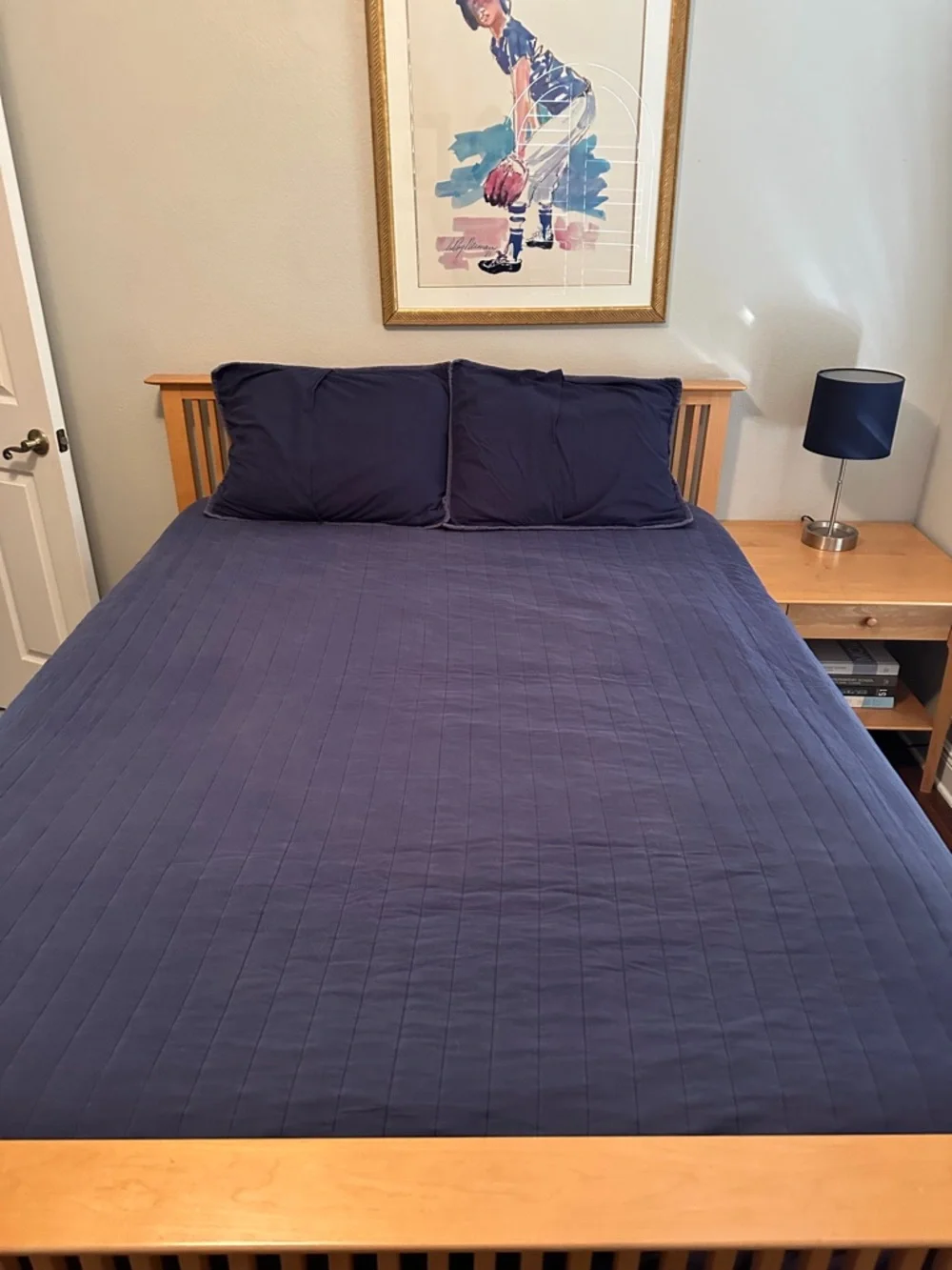 Pottery Barn Teen Navy and Beige Striped Quilted Coverlet Set